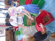 learning how to compost with worms
